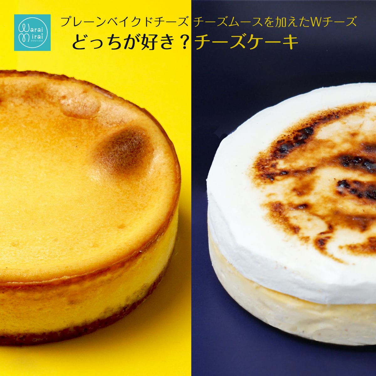 チーズケーキ 選べる どっち チーズ ベイクドチーズケーキ ダブルチーズ 誕生日 ケーキ バースデーケーキ 4号 5号 母の日 2024 ギフト 濃厚 しっとり フロマージュ ムース 送料無料 お取り寄せ スイーツ 洋菓子 差し入れ 熨斗対応 あす楽 お菓子 cheese cake