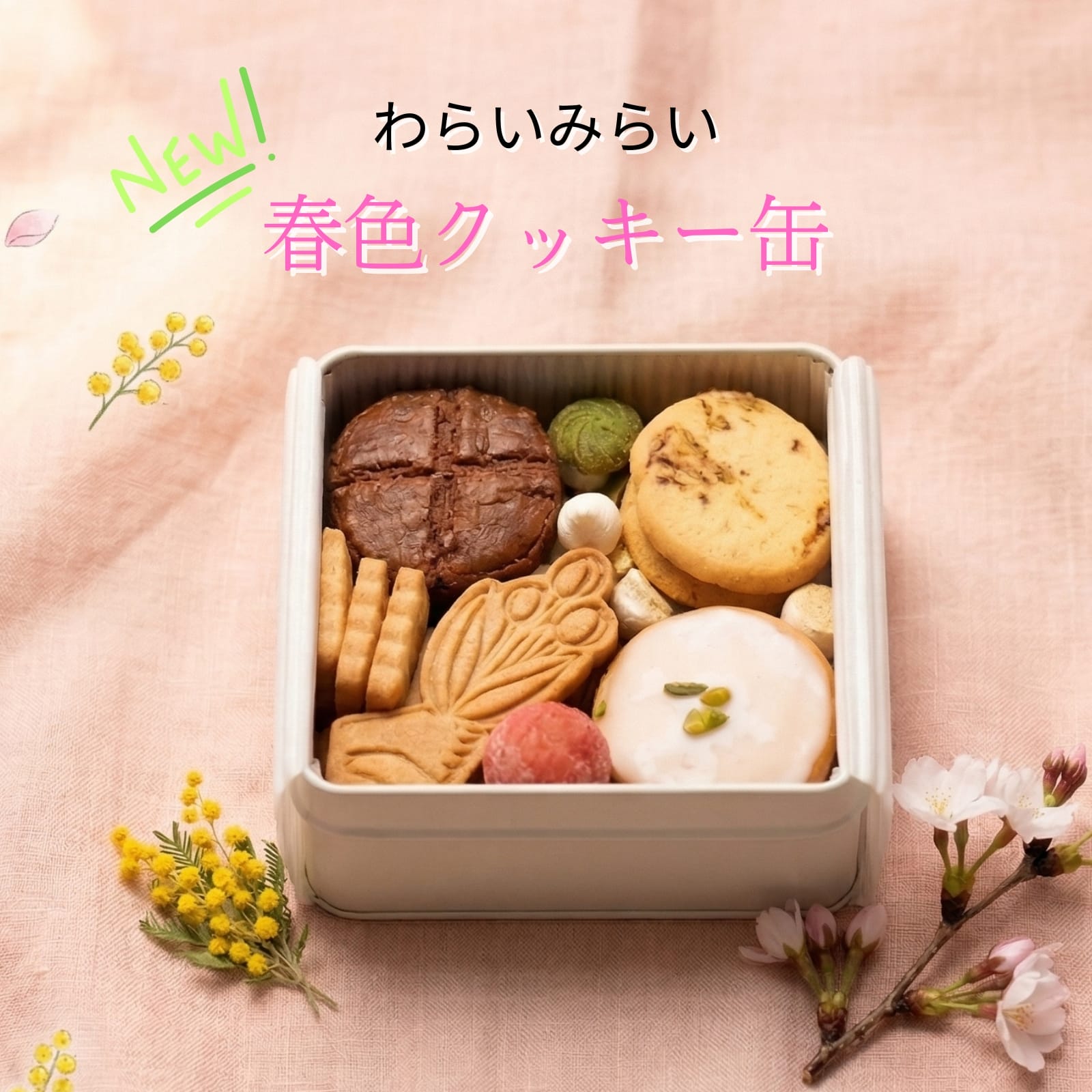 画像3