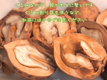 国産 くるみ 長野県産 生くるみ 殻付き 500g胡桃 信州 長野県 山くるみ 鬼胡桃 鬼ぐるみ 鬼くるみ 山胡桃 山ぐるみ 和くるみ 生くるみ ウォールナット ナッツ オメガ3 ナッツ類