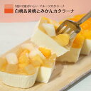 桃 ケーキ もも みかん 贅沢 たっぷり スイーツ プリン カタラーナ 絶品 濃厚 ブリュレ クレームブリュレ フルーツ お取り寄せ アイス 詰め合わせ 濃厚 お祝い 母の日 早割 2024 プレゼント お菓子 グルメ ギフト 送料無料 スイーツギフト 人気 洋菓子 入学内祝い お返し