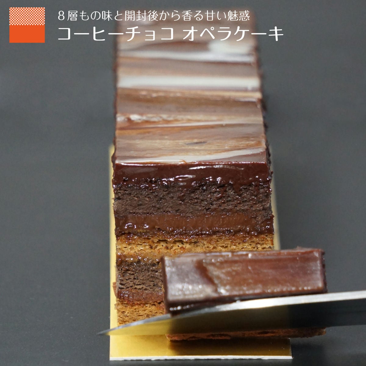 チョコケーキ コーヒースイーツ オペラケーキ 誕生日 バースデーケーキ チョコレートケーキ 化粧箱 水引 父の日 早割 2024 送料無料 高級 スイーツギフト お取り寄せ ケーキ ショコラ スイーツ テリーヌ ザッハトルテ お祝い おしゃれ グルメ 洋菓子 ギフト