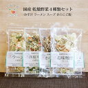 乾燥野菜 国産 乾燥野菜ミックス 無添加 味噌汁 乾燥 野菜 セット 野菜セット 選べる お試し ぽっきり ポイント消化 保存食 保存食品 非常食 フリーズドライ 常備菜 常備食 きのこご飯 スープ みそ汁 ラーメンの具 味噌汁の具 雑炊 お粥 かんそう やさい ちょい足し yasai