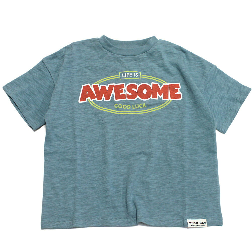 Rakuten - 【オフィシャルチーム OFFICIALTEAM】 スラブ天竺AWESOMEロゴTシャツ サックス