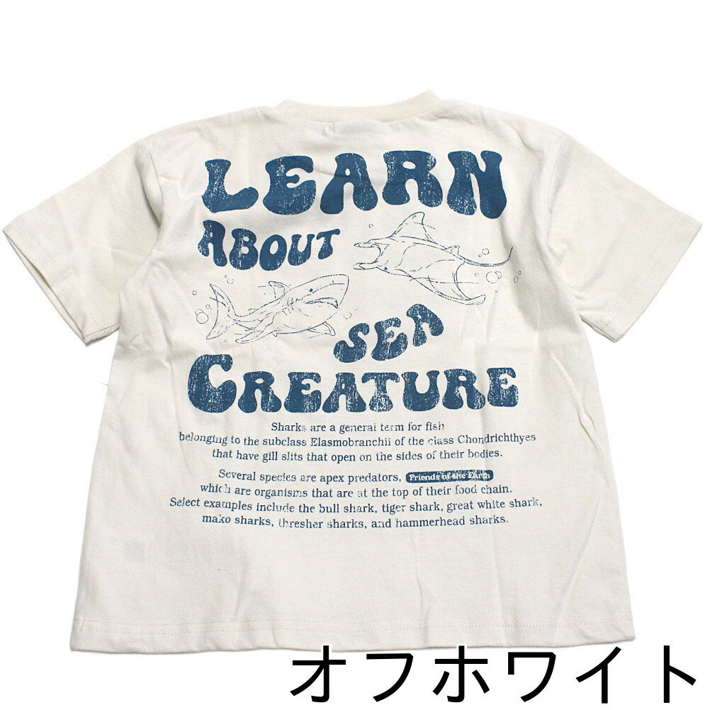 【オフィシャルチーム OFFICIALTEAM】 セール 【30%OFF】 クールタッチ海洋生物Tシャツ