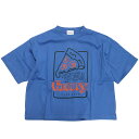  あす楽 テンジク PIZZA OVER SIZE TEE 14BLブルー