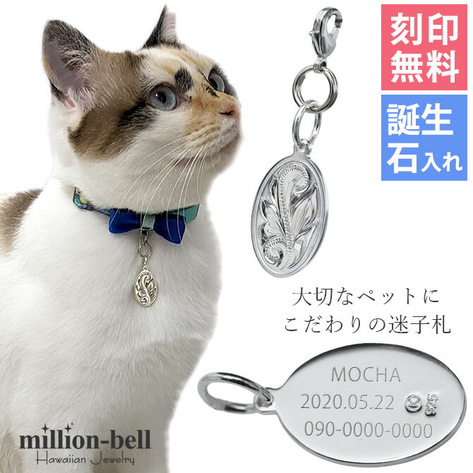 ʥڥåȤ»һ ȤΥХڥ ϥ磻󥸥奨꡼ ͡ ͥ ǭ   С925 С ϥ兩 ᡼ |  ǥ  ץ쥼  ֡SP2917-pet