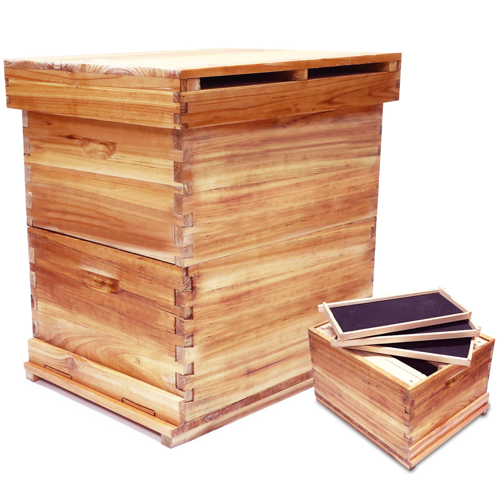 ミツバチ巣箱 養蜂箱 蜜蜂 蜂ハイブ ミツバチ 養蜂ツール 組み立て キット 高い耐荷重性 ミツバチ飼育箱 ミツバチの採蜜 蜂の巣 ハチミツの家 ミツバチ捕獲箱 耐久性 蜜蜂の巣箱