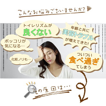 【楽天1位3冠】サクラテ 30包入×3袋1杯あたり158円 【カフェラテ カフェオレ コラーゲン ヒアルロン酸 プラセンタ 食物繊維 白インゲン豆 クロロゲン酸 コーヒー 難消化性デキストリン】インスタント ダイエット 美容 健康 美味しい 女性 ポイント消化【商品】