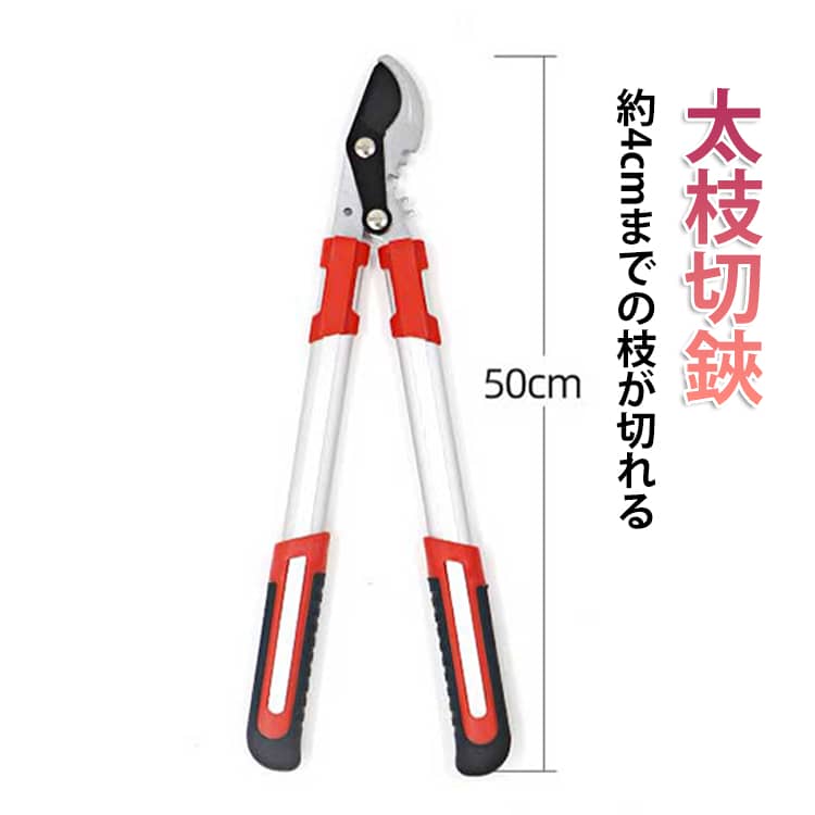 枝切りはさみ 枝切ばさみ 庭 替刃式 40mm 生垣 アルミパイプ柄 剪定ばさみ 太枝切鋏 超軽量 軽い 太枝切りバサミ 園芸 大進 太枝切鋏 農作業 家庭菜園 庭木 農業 せんていばさみ 枝 枝切り ハサミ 安全 手入れ ガーデニング