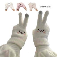 手袋 レディース グローブ 厚手 もこもこ 保温 防寒 ふわふわ スマホ タッチパネル対応 女性 女子 学生 暖かい かわいい 保温性 自転車 運転 外出 高校生 中学生 通学 通勤 旅行 自転車 バイク アウトドア 秋 冬 送料無料