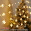 イルミネーション 屋外 イルミネーションライト led 飾り クリスマスツリー 10m 壁 装飾 屋外 オーナメント おしゃれ LEDライト 窓 庭 部屋 玄関 自宅 ガーデン 結婚式 ウッドデッキ フェンス 電飾 キャンプ ボール 雪花 星 雰囲気 パーティー 2,380円