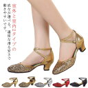 ダンスシューズ レディース グリッター キラキラ ラテンシューズ ヒール 社交ダンス ラテンダンス ジャズ レッスン 美脚 パンプス ストラップパンプス シュー...