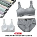 ジュニアブラ パッド 2点セット 上下セット 小学生 ジュニア ブラ ショーツセット ブラ キッズ 下着セット ブラジャー キッズブラ スタンダードショーツ ノ...