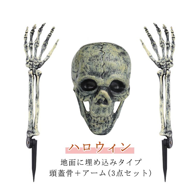 骸骨 飾り ハロウィン アーム モデル 模型 人形 頭蓋骨 埋め込み ハロウィン 可動式 スケルトン 道具 ドクロ そっくり 白骨 パーティー 髑髏 ハロウィン 余興 3点セット イベント 差し込み 置物 オブジェ 装飾品 怖い ホラー 肝試し 幽霊シミュレーション 屋外 庭