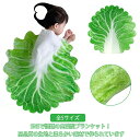 全5サイズ おくるみ 野菜 白菜型 かわいい ブランケット 85×85cm 100×100cm 120×120cm 150×150cm 180×180cm 赤ちゃん 新生児 ベビーブランケット おしゃれ 出産祝い インスタ映え 毛布 寝かしつけ おもしろ ギフト 食物 白菜 記念撮影