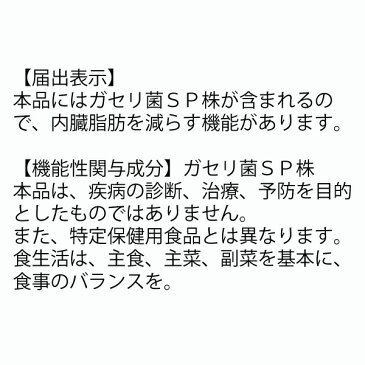 【送料無料】恵 megumi ガセリ菌SP株ヨーグルト 100g×48個 《市販タイプ》(※九州・北海道・沖縄離島は別途送料加算)【内臓脂肪 減少 効果 雪印 健康 人気 ランキング 売り上げ 売上 上位 通販 効果 効能 評判 評価】[TY-C-H][T8]