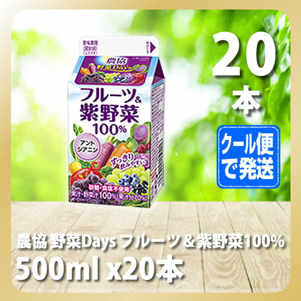 農協 野菜Days フルーツ＆紫野菜100% 500ml x20本【雪印/メグミルク/通販】[TY-C-H][T8]