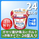 【送料無料】恵 megumi ガセリ菌SP株ヨーグルト 10...