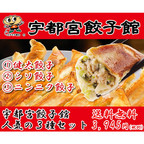 【夏ギフト】【送料無料】【産地直送】宇都宮餃子館　人気の3種セット【ぎょうざ/ランキング/人気/通販/ギフト/プレゼント/ギョウザ/スタミナ】[TY-F-M]