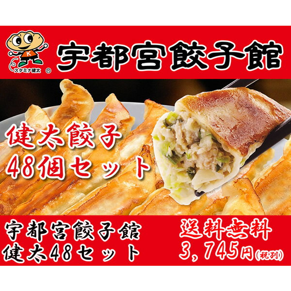 【夏ギフト】【送料無料】【産地直送】宇都宮餃子館 健太餃子詰合せセット【ぎょうざ/ランキング/人気/通販/ギフト/プレゼント/ギョウザ/スタミナ】[TY-F-M]