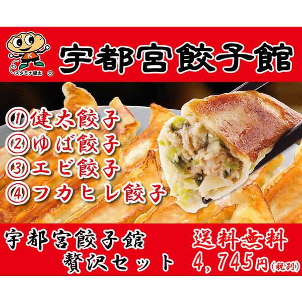 【夏ギフト】【送料無料】【産地直送】宇都宮餃子館 贅沢セット【ぎょうざ/ランキング/人気/通販/ギフト/プレゼント/ギョウザ/スタミナ】[TY-F-M][T8]