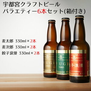 【送料込み】宇都宮クラフトビール　バラエティー6本セット（箱付き）[T10]