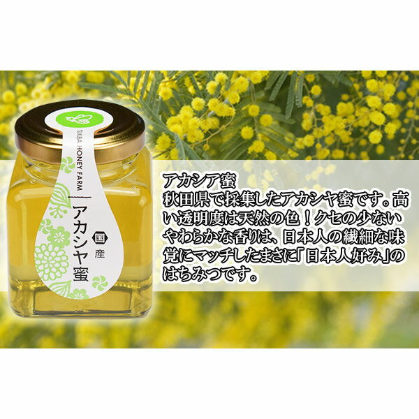 山田はちみつ 国産アカシア蜜 100g【ハチミツ/蜂蜜/はち蜜/通販】