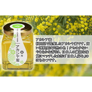 山田はちみつ　国産アカシア蜜 100g【ハチミツ/蜂蜜/はち蜜/通販】[TY-J-K][T8]