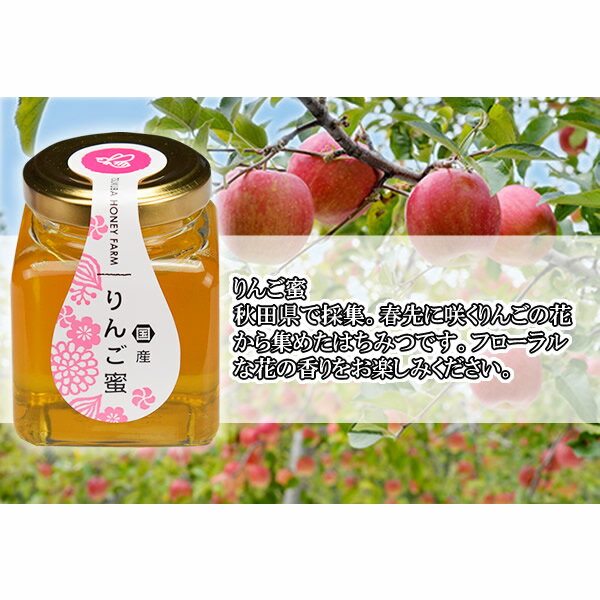 山田はちみつ　国産りんご蜜 100g【ハチミツ/蜂蜜/はち蜜/通販】[TY-J-K][T8]