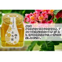 山田はちみつ 国産とち蜜 100g【ハチミツ/蜂蜜/はち蜜/通販】