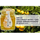 山田はちみつ 国産みかん蜜 100g【ハチミツ/蜂蜜/はち蜜/通販】