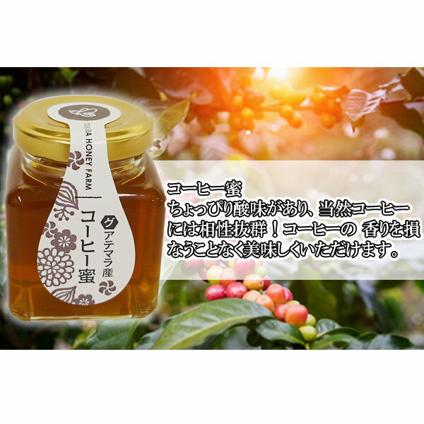 山田はちみつ グアテマラ産コーヒー蜜 100g【ハチミツ/蜂蜜/はち蜜/通販】