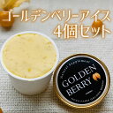 【送料無料】GOLDEN BERRY　アイスセット4個入(ネクスグループ)[T8]