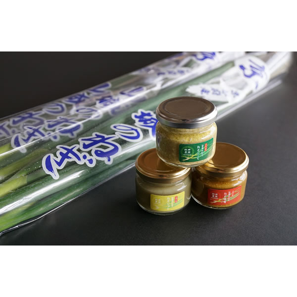 【送料込み】山城のねぎ ギフトセット【秋田農園】