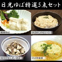 楽天健康美食計画【夏ギフト】【送料無料】【産地直送】日光ゆば特選5点セット【湯葉/湯波/ヘルシー/ギフト/プレゼント/母の日/父の日/御中元/お中元/御歳暮/お歳暮/ランキング/通販/名物/人気/大好評】※沖縄・離島は配送を行っておりません[TY-F-M]