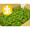 2025年度産 ウマブドウ生果実900g(葉っぱ舎)【うまぶどう/馬ぶどう/馬ブドウ】