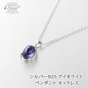 \ポイント最大10倍!9日(水)23:59まで/シルバー925 天然石 アイオライト ペンダント ネックレス ロジウムメッキ仕上げ 日本製 送料無料 | 30代 40代 50代 60代 70代 80代 誕生日 プレゼント 母 妻 祖母 3月 誕生石 母の日 ギフト 人気