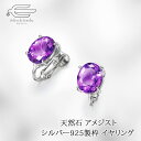 \月間優良ショップ8回受賞店/シルバー925 天然石 アフリカ産 アメジスト オーバルカット イヤリング 日本製 送料無料 | 40代 50代 60代 70代 80代 誕生日 プレゼント 母 妻 彼女 祖母 2月 誕生石 母の日 ギフト 人気