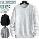 【期間限定3190円→1990円】長袖 シャツ メンズ トレーナー エンボス ロゴ カジュアル ストリート クルーネック トップス スウェットトレーナープルオー...