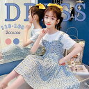 【期間限定3760→2560円】子供服 子供 ドレス プリーツスカート 花柄スカート ピアノ発表会ドレス 結婚式 子供服 女の子 ワンピース キッズ フォーマル...