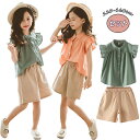 【期間限定3660円→2460円】子供服 女の子 夏 セットアップ オシャレ 可愛いスーツ 韓国風 キッズ服 2点セット 上下セット フリル Tシャツ トップス...