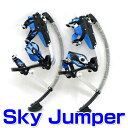 【送料無料】JDRAZOR SkyJumper スカイジャンパー スポーツ ホッピング　ジャンピング ステルス