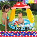 ビーチボールプレゼント INTEX(インテックス) マッシュ...