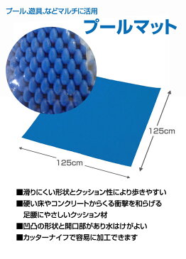 プールマット 125×125cm 家庭用プール クッション 下敷き マット 下 プール用 水遊び 水あそび 子ども 家族 下じき ビーチ 海水浴 ベビー 幼児用 子供用 ドウシシャ CTE 0217