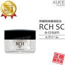 【正規販売店】 RCH SC e-クリーム (15g) エンチーム ヒト脂肪間質細胞順化培養液 ヒト脂肪細胞順化培養エキス ヒト幹細胞 幹細胞化粧品 ひと イークリーム eクリーム e-cream アイクリーム GFパウダー パーフェクチン コスメ 【送料無料】