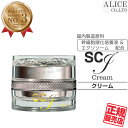 【正規販売店】 SCJ Cream - クリーム (30g) 国内製 日本製 ヒト脂肪間質細胞順化培養液エキス ヒト脂肪間質細胞エクソソーム ヒト幹細胞 幹細胞 保湿クリーム コスメ フラーレン スピルリナマキシマエキス 国産 ローヤルコーポレーション エンチーム