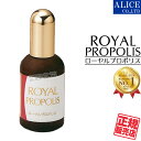 【正規販売店】 ローヤルプロポリス (60mL) { ロイヤルプロポリス ROYAL PROPOLIS ローヤルコーポレーション エンチーム } [ 送料無料 ]