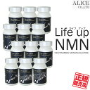 【正規販売店】 Life up NMN 60カプセル×12本セット ［ ライフアップNMN 国産 国内製造 NMN サプリ サプリメント ニコチンアミドモノヌクレオチド life up nmn lifeupnmn LifeUP NMN バイオペリン コエンザイムQ10 レスベラトロール プラスワン ］【送料無料】