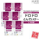 【正規販売店】 ドロドロとんでいけ〜 20粒入 ×6袋[ シナプス 動物用 LR末3 ミミズ ドロドロとんでいけー LR末III LR末3 ルンブルクスルベルス...