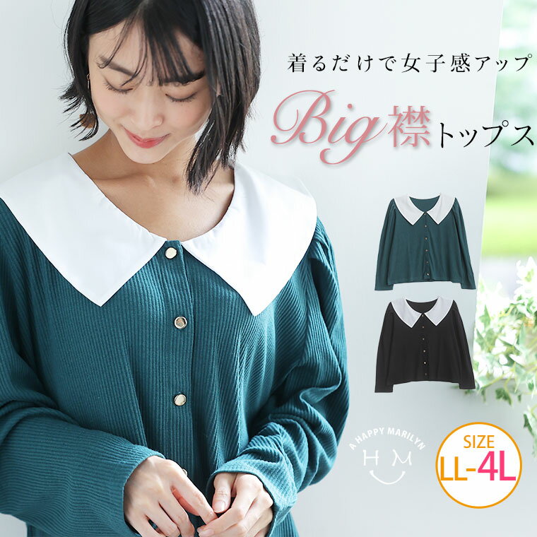 Rakuten - 大きいサイズレディース トップス | 配色 ビッグ襟 リブトップス _ カットソー プルオーバー LL 3L 4L 秋 秋物 秋服 冬 冬物 冬服 ぽっちゃり ゆったり カジュアル ナチュラル プラスサイズ きれいめ 上品 ガーリー リブ素材 [282804]
